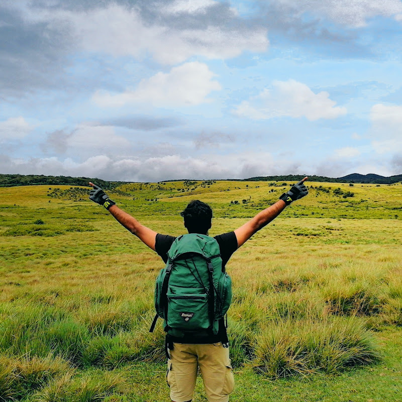 Doctor Colambage Vlogs