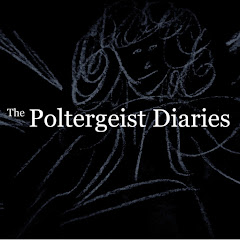 The Poltergeist Diaries Avatar
