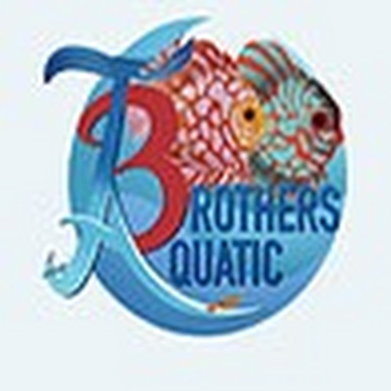 ThreeBrothers Aquatic