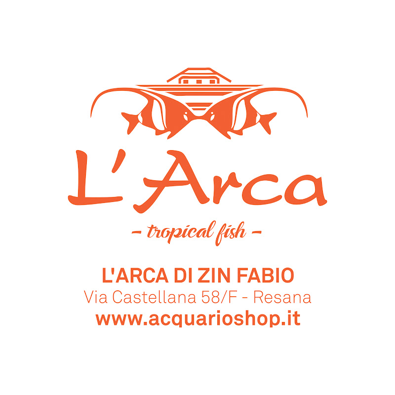 L' Arca di Zin Fabio