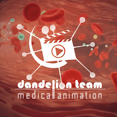 Dandelion Medical Animation