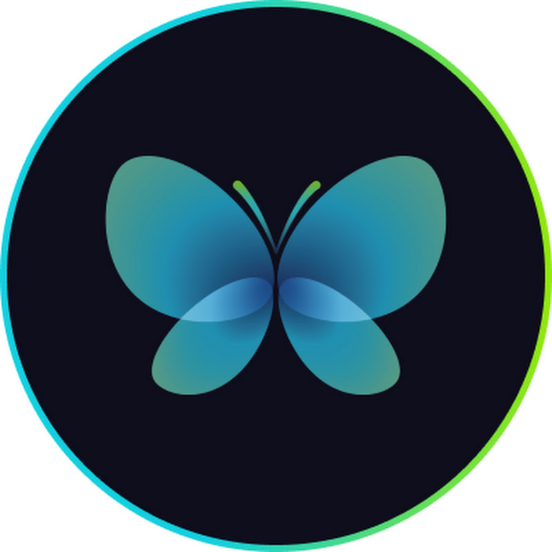 Credit Butterfly
