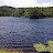 @Fishinaroundtn Avatar