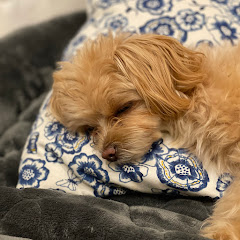 トキイブTV 【MOKO】