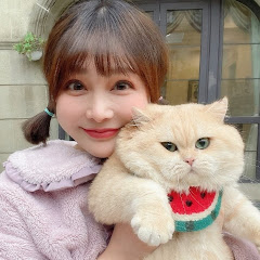 Funny World Channel アイコン画像