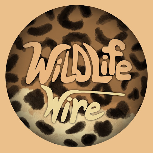 Wildlife Wire