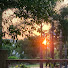U_yGq5Affyc-channel-avatar-Natural Living by Indrani Kelkar
