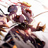 lsxosx0ypGA-channel-avatar-TheGunplaGamer