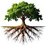 6qOFR_ErjHM-channel-avatar-Journey to a Blessed Life
