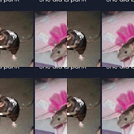 thumbnail img1x1