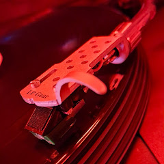Pops.. Clicks.. Skips.. Naked Vinyl Hear