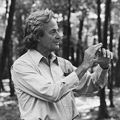 Feynman  Klare Wissenschaft