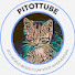 dHIwa0x1CSY-channel-avatar-PitotTube