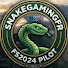 eRwnCqrP8uk-channel-avatar-Snake Gaming Fr