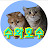 @수와호수