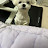 @봄이-u8k2t