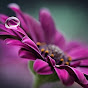 Miniature