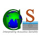 Geosense Surveys logo