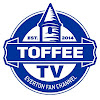 What could Toffee TV : Everton Fan Channel buy with $181.12 thousand?