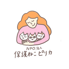 保護ねこピリカアイコン画像