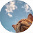@Anony-r2i Avatar