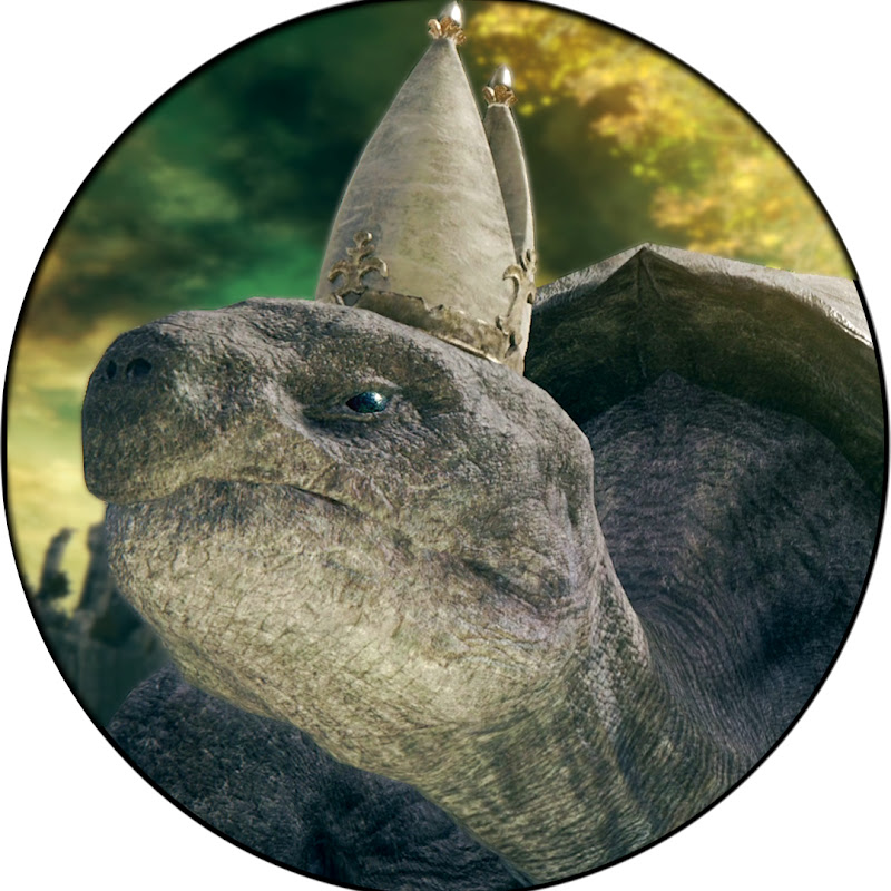 Lore Turtle