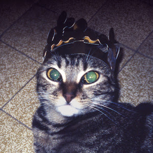 Twodoorcinemaclub YouTube channel image