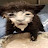 @Beanlover6262 Avatar