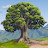 @Rahul19-20 Avatar