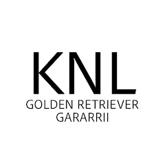 KNL 강수산 GOLDEN RETRIEVER GARGARRII