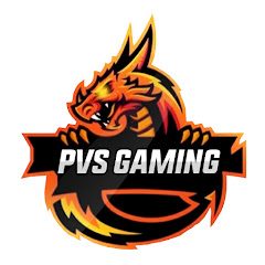 PVS GAMING Avatar