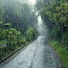 omedQbIUpq0-channel-avatar-Drizzle Nest