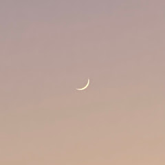 みかづきタロット