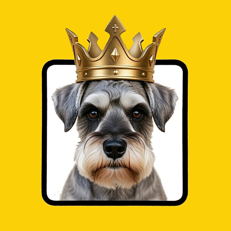 Schnauzerland