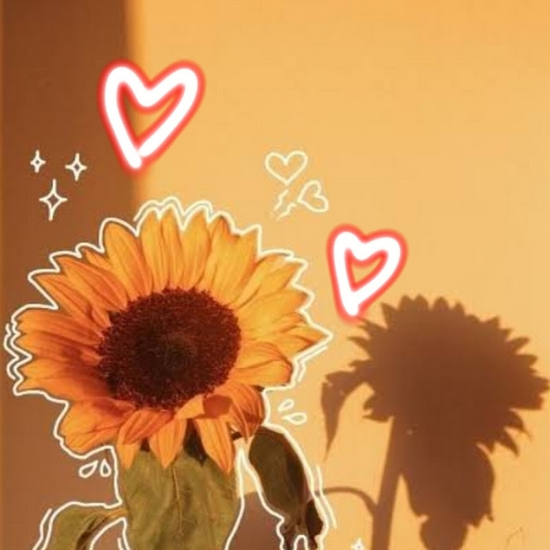 💗🌻its_your_girl_sunnyy