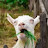 @mcbillygoat2413