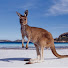 q1A3Ch3xCps-channel-avatar-On The Road Australia