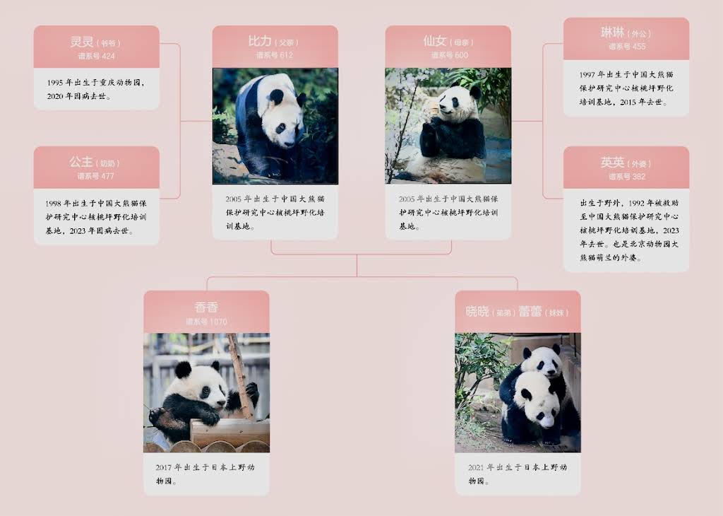 シャンシャン様♡ご確認用♡【健康祈願】Xmasオーロラリース＆ジャパンダリース シャンシャン様♡ご確認用♡【健康祈願】Xmasオーロラリース