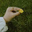 @FatmaAl_said-e7m