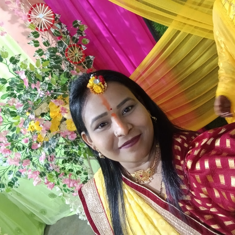 Sweta's vlogs
