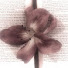 Brs34BHr8Eg-channel-avatar-D a r m a पुत्र