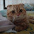 @ayumi.cat.love.