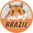 HamHam Pets Brazil