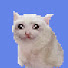 Q472L_q1wX0-channel-avatar-buildcat 2