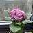 @lovely-young-n3t