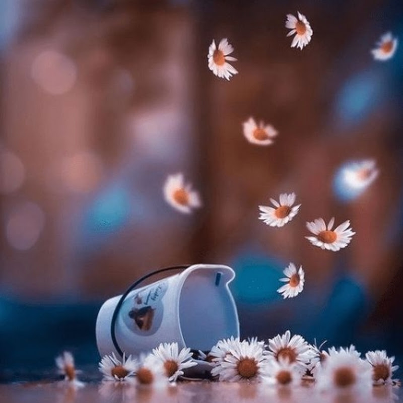 The Learner's Family