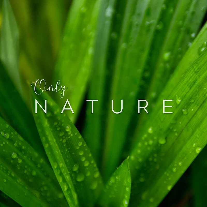 OnlyNature