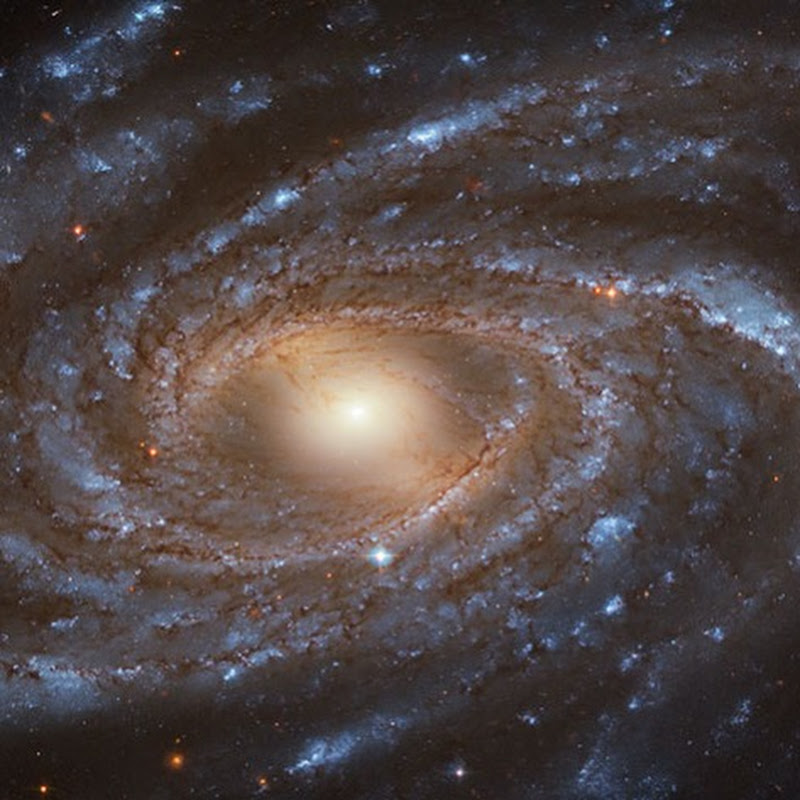 Space Exploration