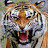 Avatar de @ShopianBatam