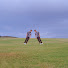 g64_UgGcnIw-channel-avatar-MCBestOfs